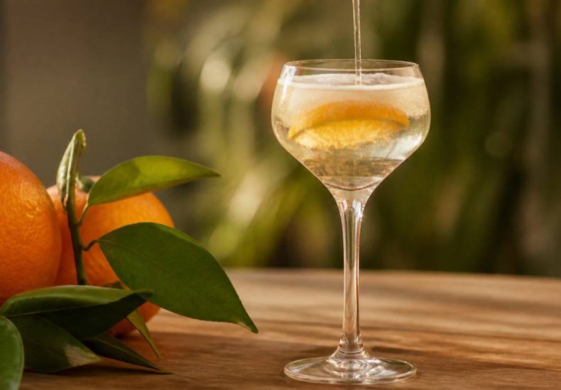 Copa valenciana: qué es, cómo elegirla y dónde comprarla