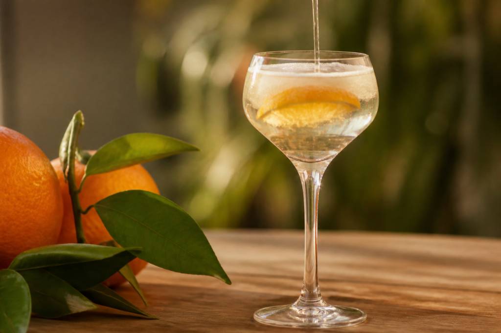 Copa valenciana: qué es, cómo elegirla y dónde comprarla